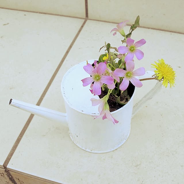 yu-iさんの実例写真