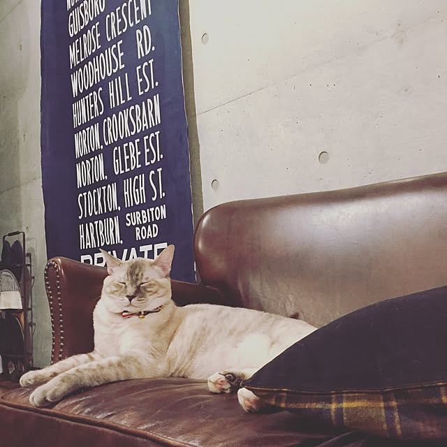 Naoki.さんの実例写真