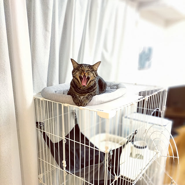 hihaさんの実例写真