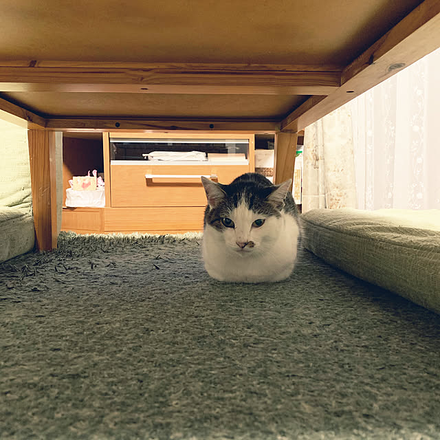 yukinkorinさんの実例写真
