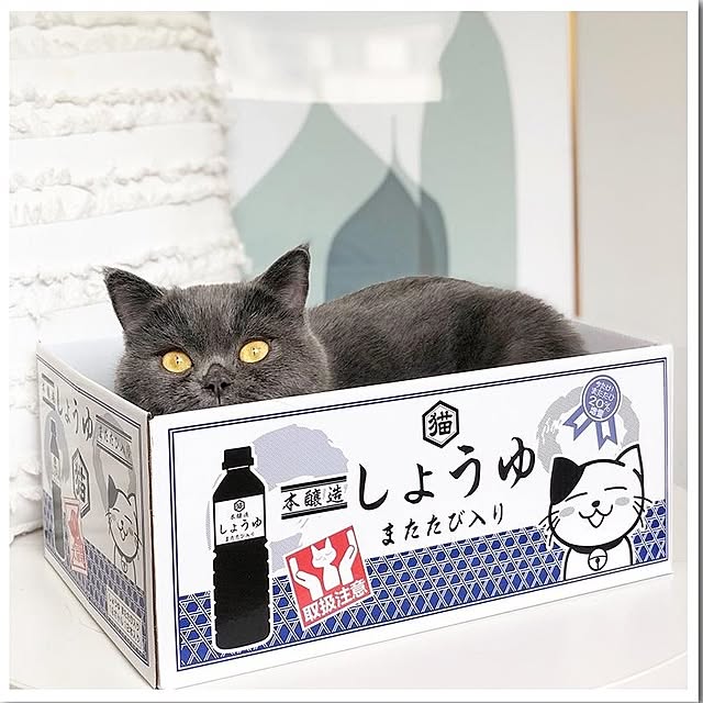 nekotownさんの実例写真