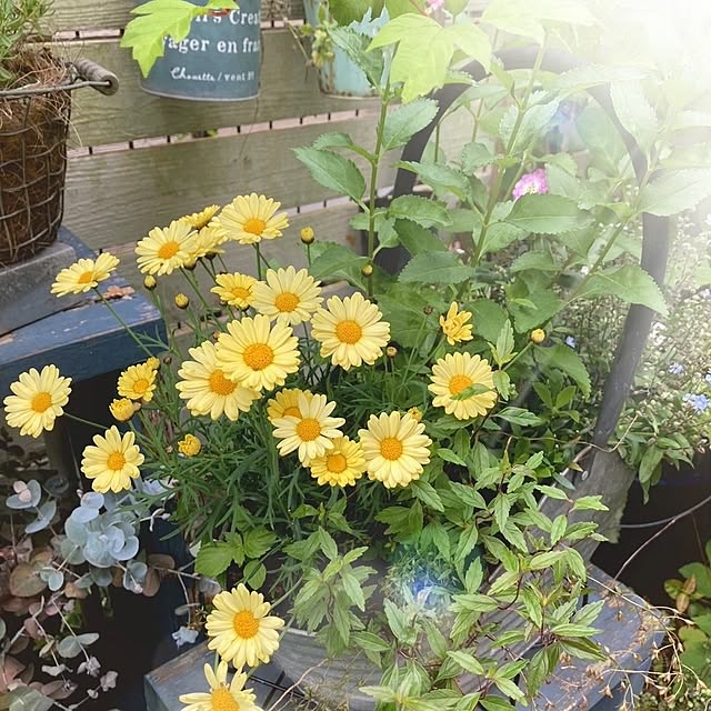 min_nimさんの実例写真
