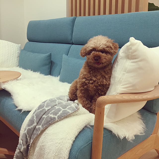 kilala_pさんの実例写真