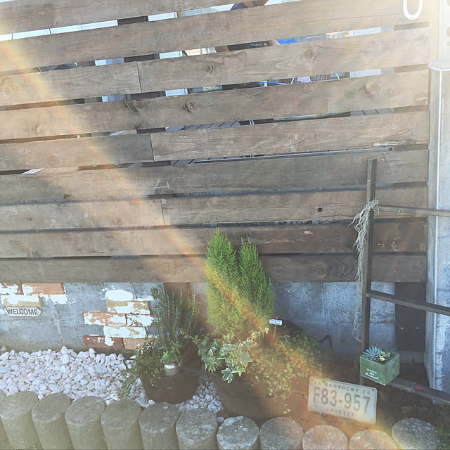 chachachaさんの実例写真
