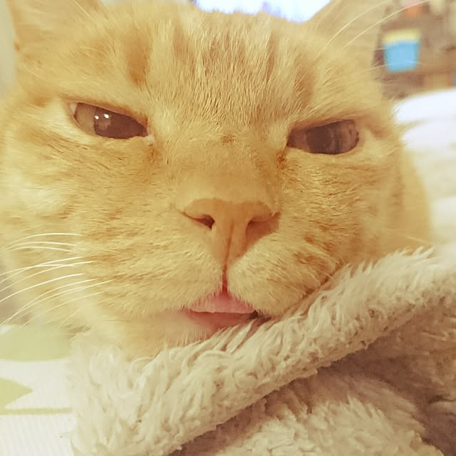 makkiiさんの実例写真