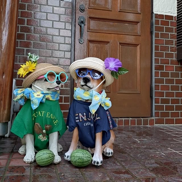 NOAHさんの実例写真