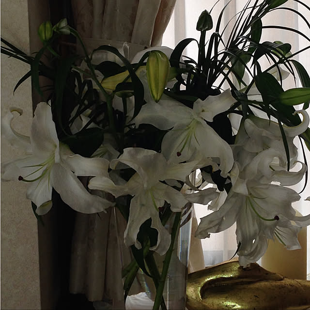 mamizaさんの実例写真