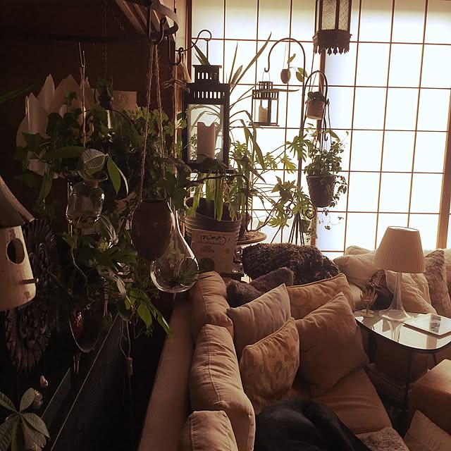 Tomokoさんの実例写真
