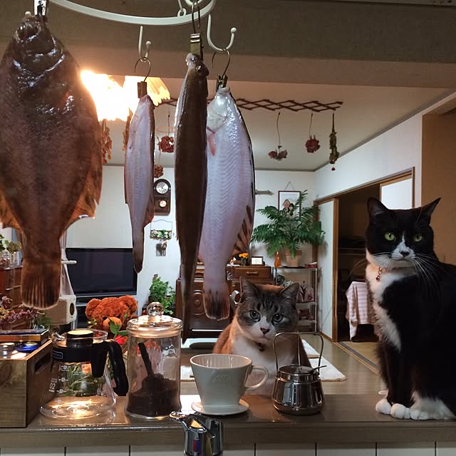 makoronさんの実例写真