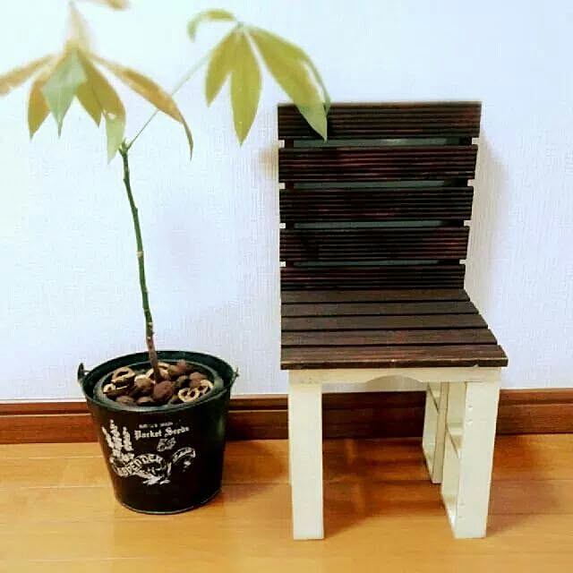 cache-cacheさんの実例写真