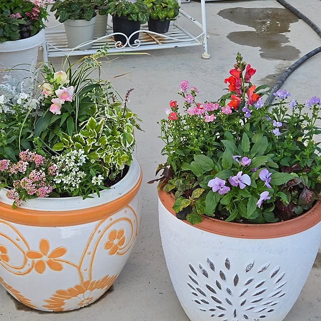 nonbiri_house_さんの部屋