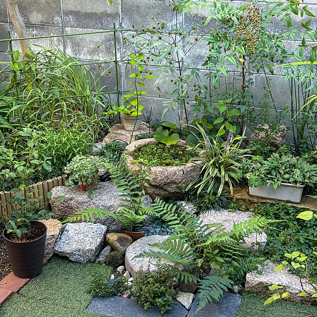faunさんの部屋