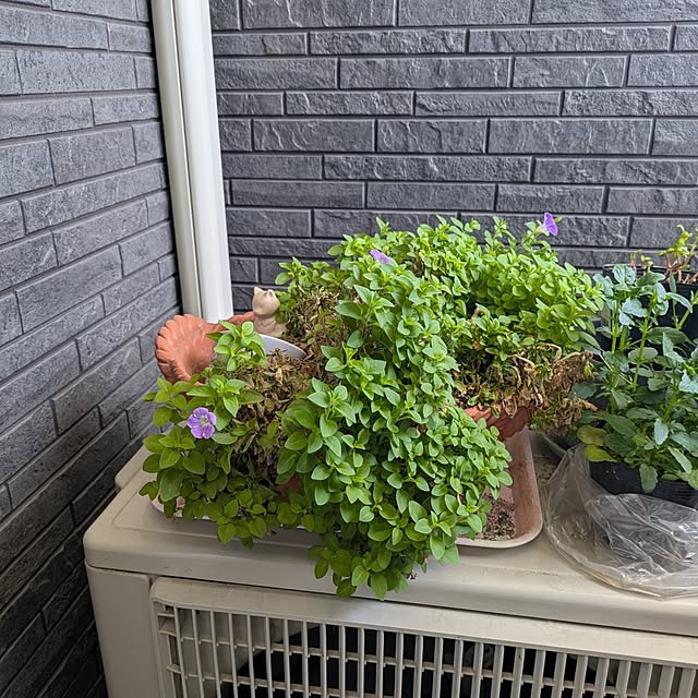 minnieさんの部屋