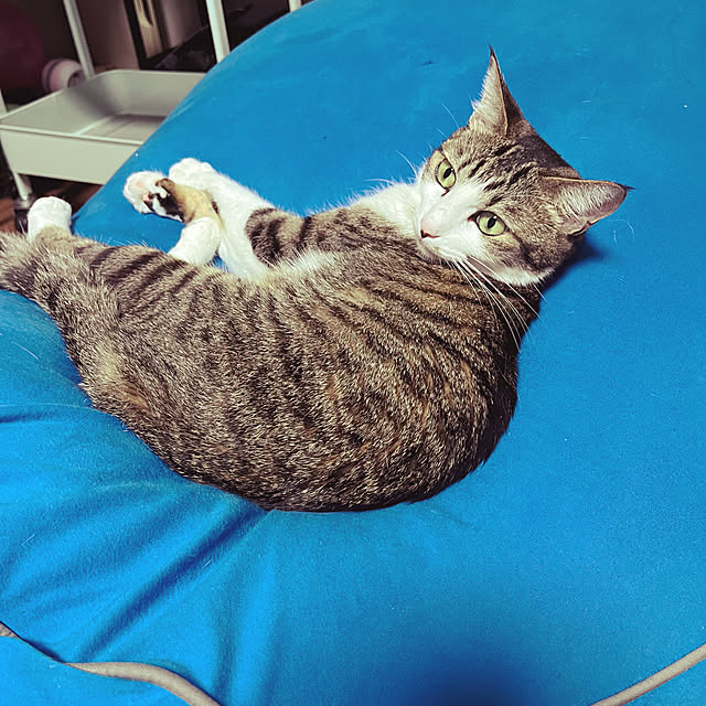 nacchi4さんの実例写真