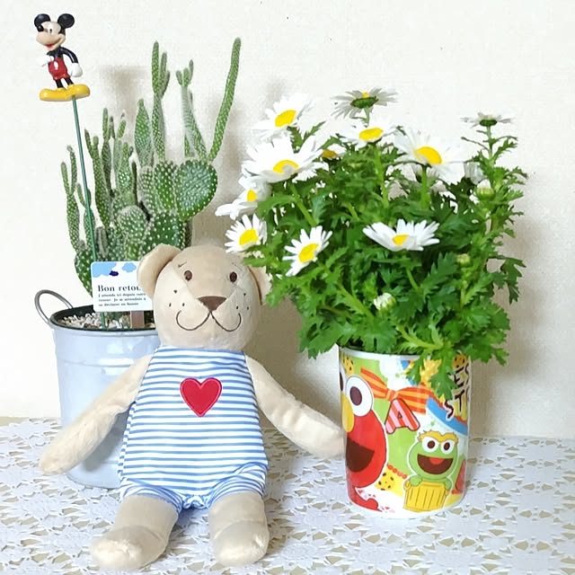 katさんの部屋