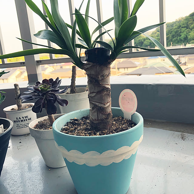 nanaさんの実例写真