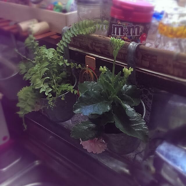 tibiさんの実例写真