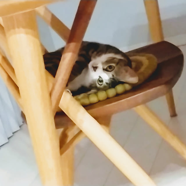 hanacocoさんの実例写真