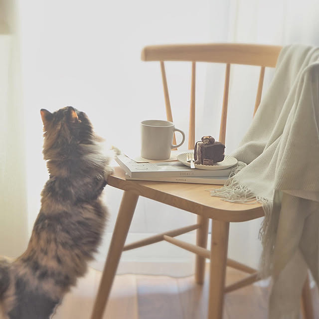 kyoro_homeさんの実例写真