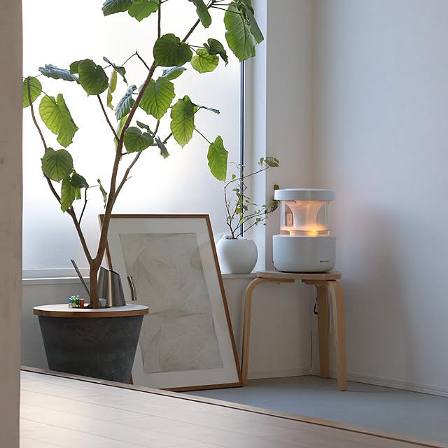 seriさんの実例写真