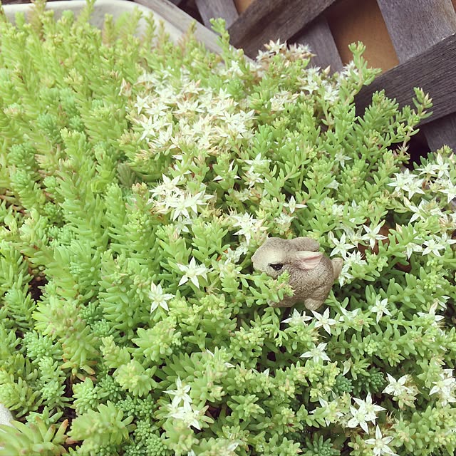 NORIさんの実例写真