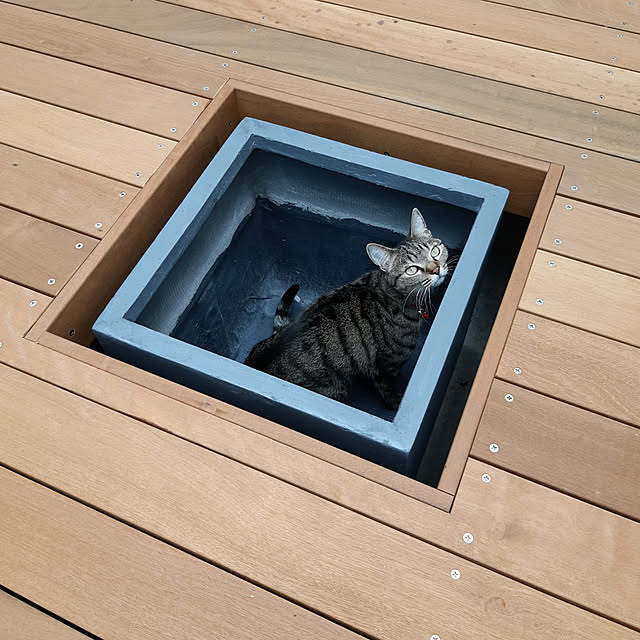 nanoさんの実例写真