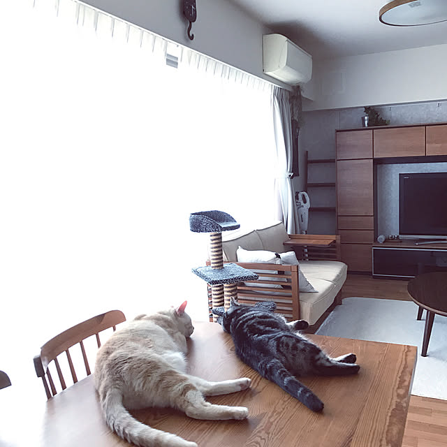 hiyupan88さんの実例写真