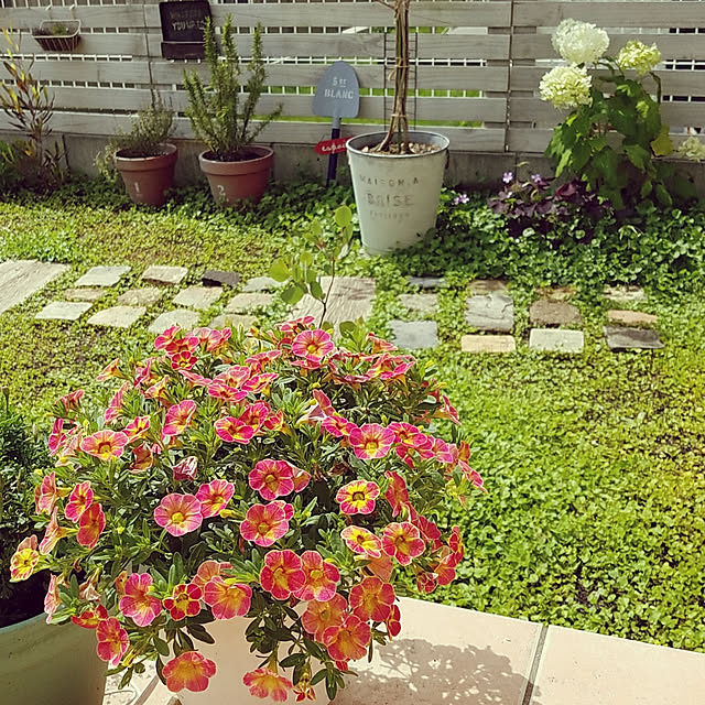 A.hさんの実例写真