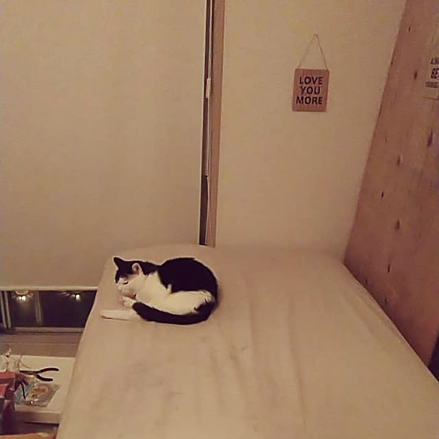 catloveさんの実例写真