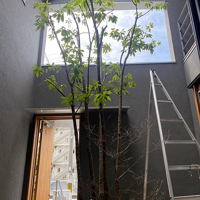 sznoieさんの部屋