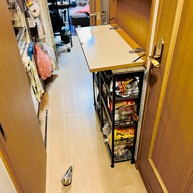 parrotさんの部屋