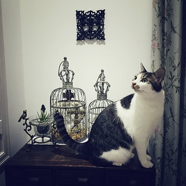 yuchiさんの実例写真