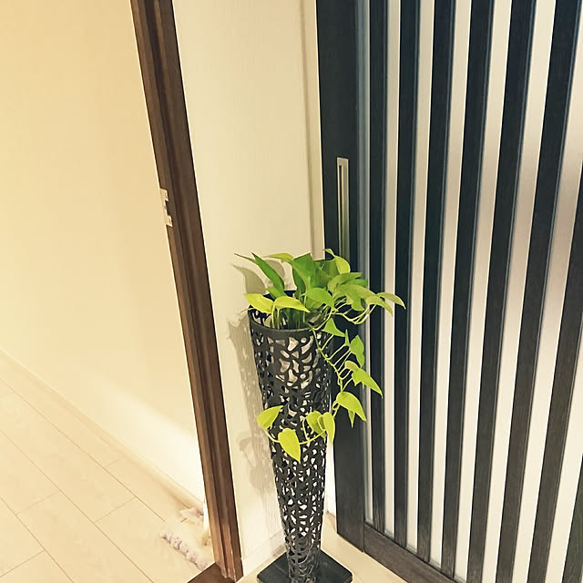 sakamo0829さんの実例写真