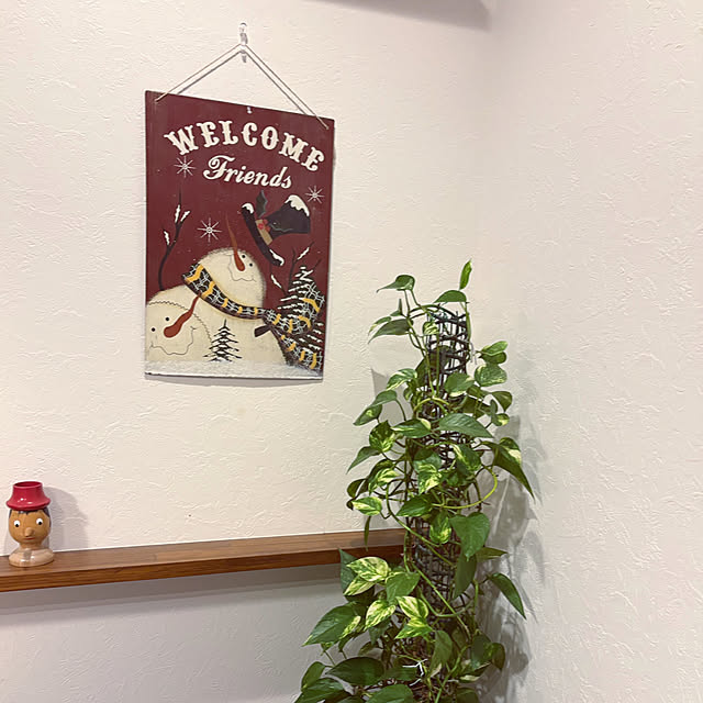 hashikaさんの実例写真