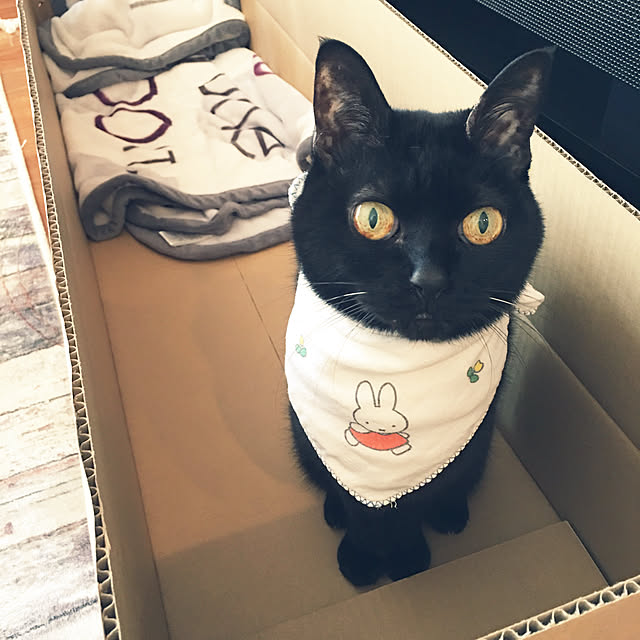 ALPSさんの実例写真