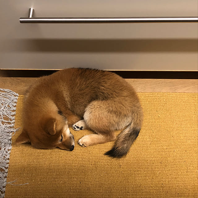 r_i_c_aさんの実例写真
