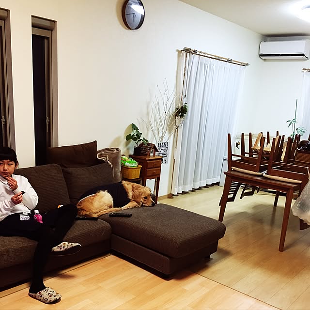 Kazueさんの実例写真