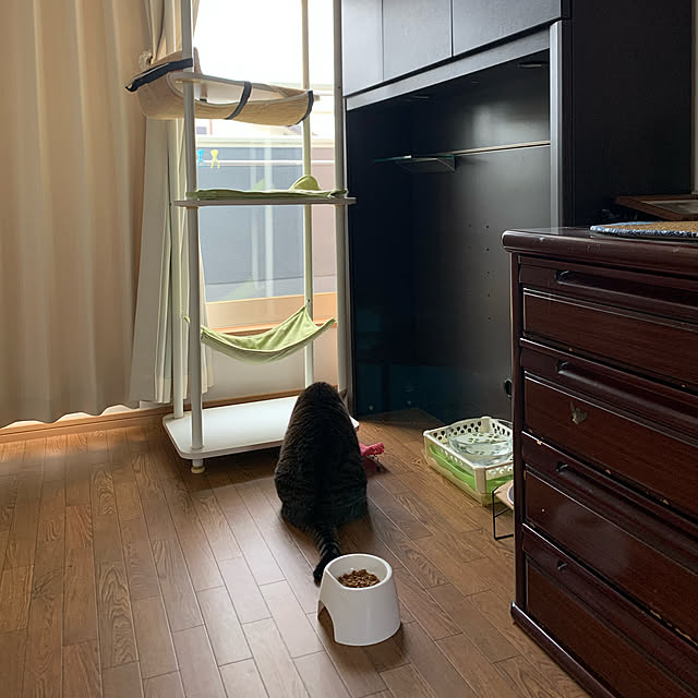 mohimikanさんの実例写真