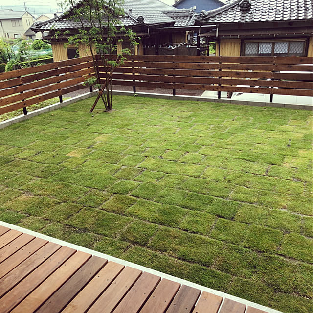 saoさんの実例写真