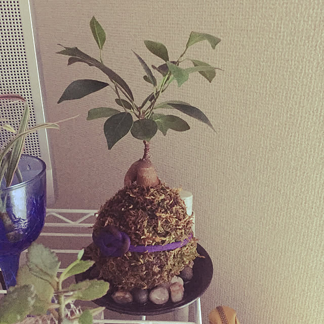charさんの実例写真