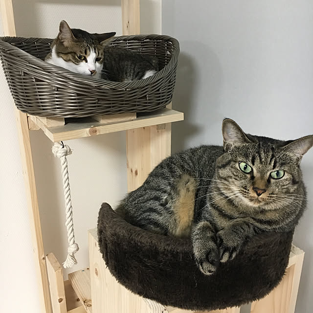 keiさんの実例写真