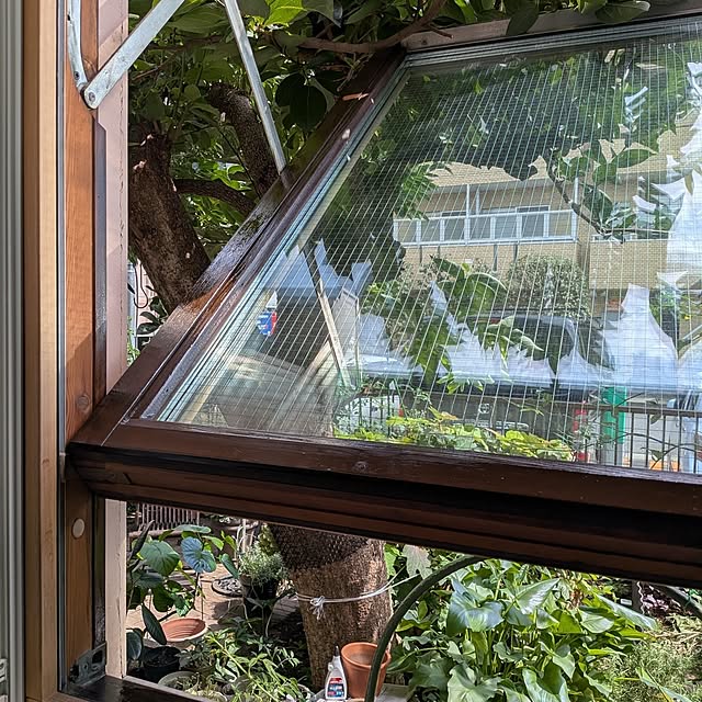 botanさんの部屋