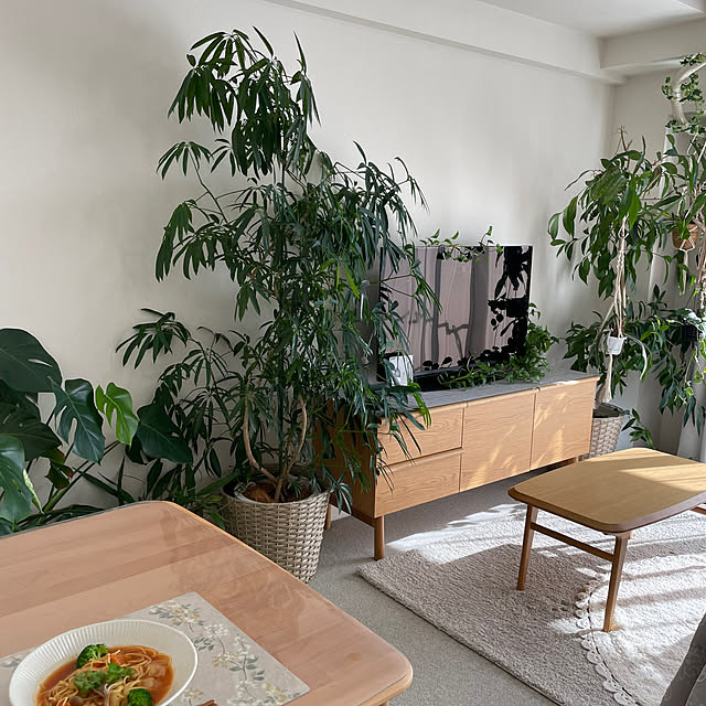 iwakura18yuukaさんの部屋