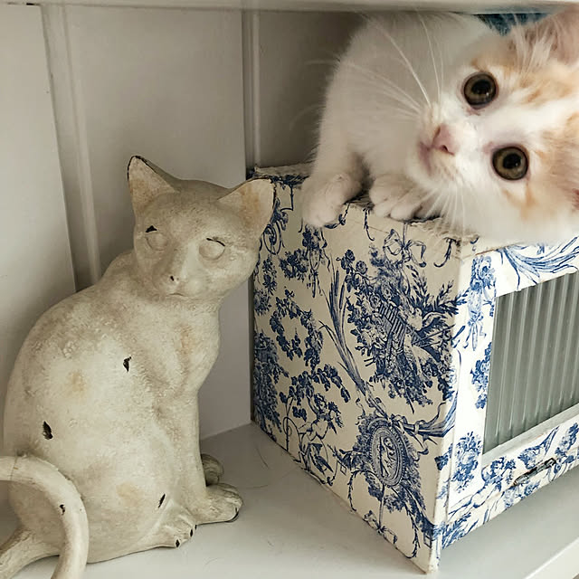 yuchiさんの実例写真