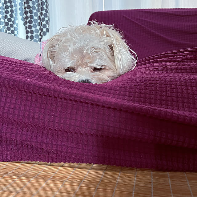 seiさんの部屋