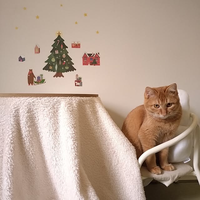 mayutan.さんの部屋