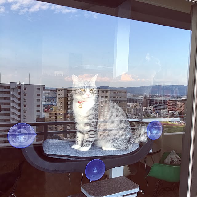 Shojiさんの実例写真
