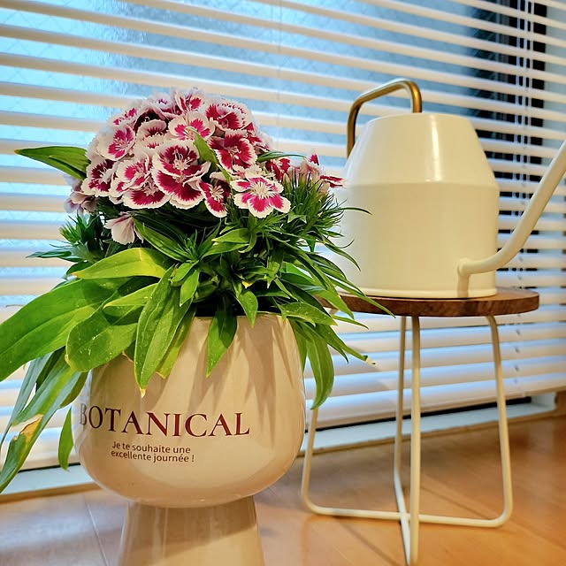 38さんの実例写真