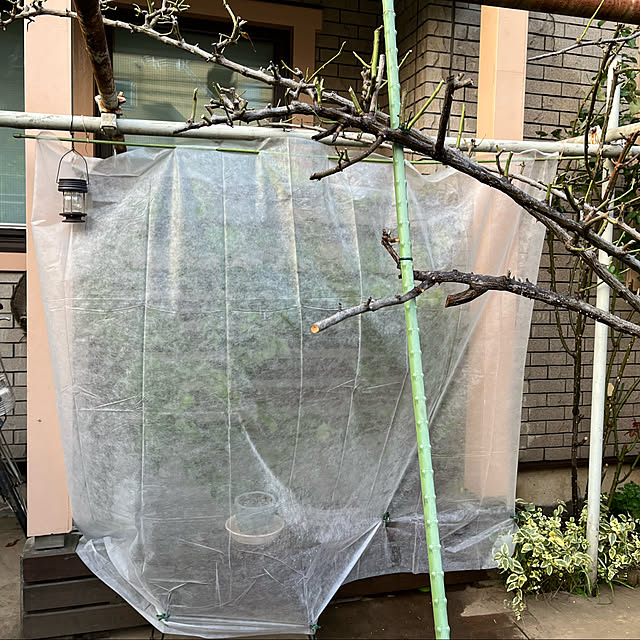 botanさんの実例写真