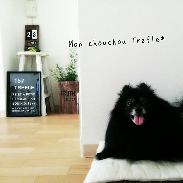 nanacloverさんの実例写真